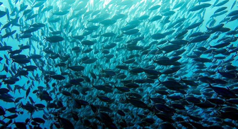 未来学園 - Image 11